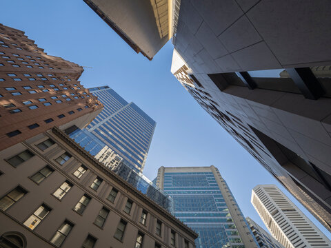 Low angle view of downtown buildings
