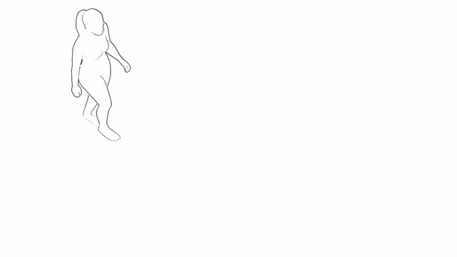 Minimalist 2D Line Art Animation Woman Walking Cycle on White Background