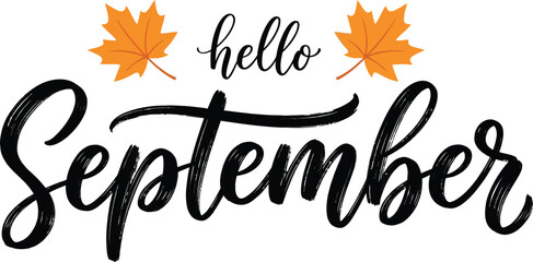 Hello september hand lettering text with autumn leaves isolated on transparent background silhouette © MDZAMAL
