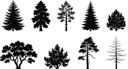 Fototapeta premium Different Tree Silhouette Collection with Deciduous and Conifer Species for Landscape Design Nature Badges Forest Graphics Mapping and Outdoor Architecture Projects