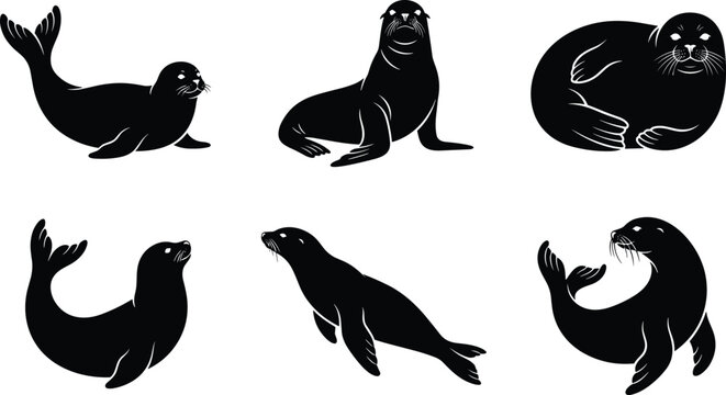 Marine Mammal Seal and Sea Lion Silhouette Set Featuring Aquatic Animals Swimming, Resting, and Posing Elements for Ocean Wildlife and Aquarium Logo Designs