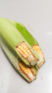 corn on the cob