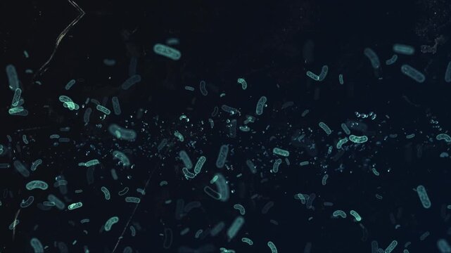 Microscopic View of Bacteria and Microorganisms Floating in Dark Liquid