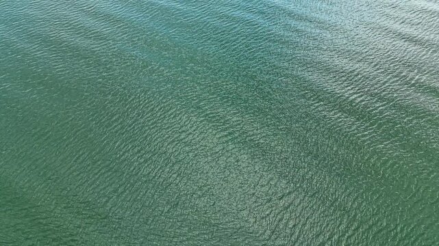 Clear water shows ripples as small waves move across the surface during daytime. Sunlight creates a shining effect on the lake or ocean.