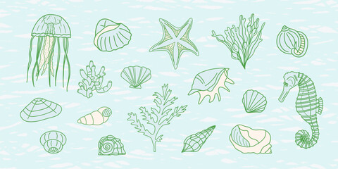Hand-drawn ocean creatures and shells, including a seahorse, jellyfish, starfish, and various mollusks, set against a gentle wave pattern. Sketch-style doodle illustrations © Liia Lonn
