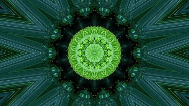 Teal green leaf with water droplets kaleidoscope animation forming a deep circular portal pattern video
