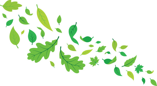 Green Flying Leaves Vector Background with Swirling Wind Blowing Foliage Autumn Oak Maple and Birch Tree Leaf Elements for Eco Friendly Designs