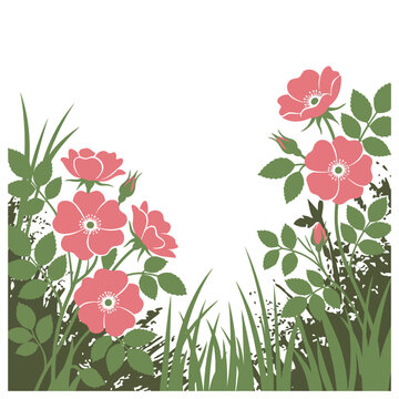 Beautiful vector illustration of pink wild roses and green grass