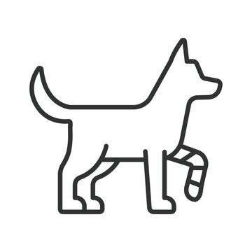 Injured dog with bandaged leg icon in line design. Dog, injured, bandage, pet, animal, health, veterinary on white background vector. Injured dog editable stroke icon