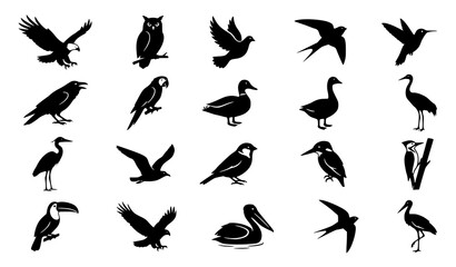 Diverse Bird Silhouette Collection Flying and Perched Black Vector Set © MstNazma