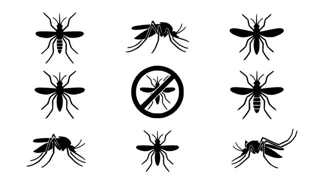 Mosquito silhouette vector icon set with black insect warning symbols for pest control and medical hygiene design