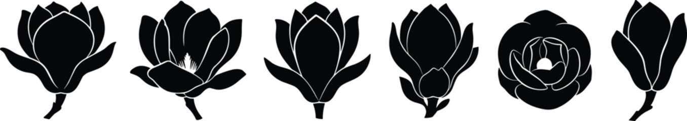Obraz premium Flower Silhouette Illustrations – Stylized Botanical Art with Buds & Blooms