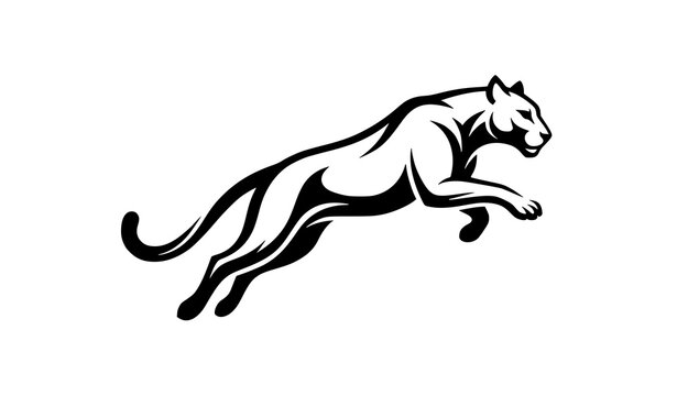 Leaping panther illustration dynamic black and white wildlife graphic
