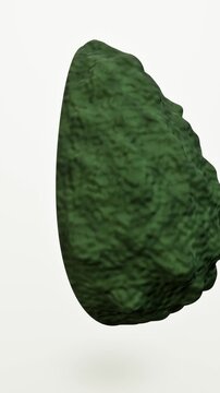 Avocado cut in half with stone on white background. 3d rendering