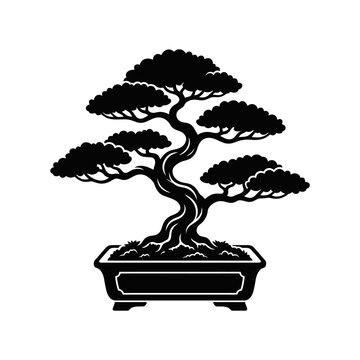 A black silhouette vector illustration of a traditional Japanese bonsai tree in a rectangular pot, showcasing its intricate trunk and layered foliage.