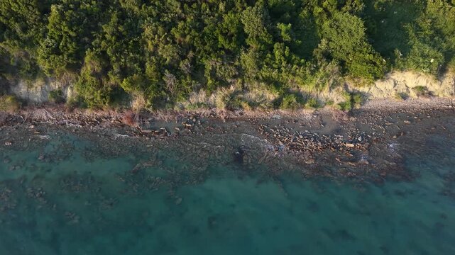 Overhead aerial view of a secluded beach, submerged rocks and forested coastline at Kepi i Rodonit, Albania.