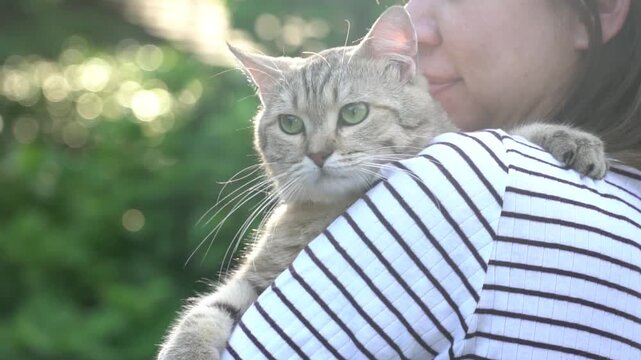 Slow motion shot of an Asian woman holding her fluffy cat on her shoulder with beautiful sunlight bokeh.