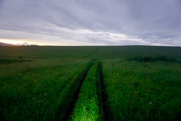 Fototapeta premium Driving on a grassy country road in the fields at dusk