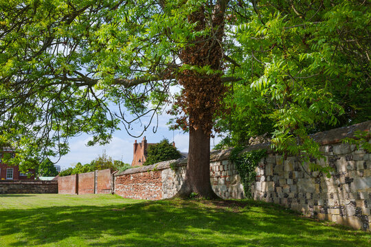 St Augustines Abbey Garden Wall Canterbury England