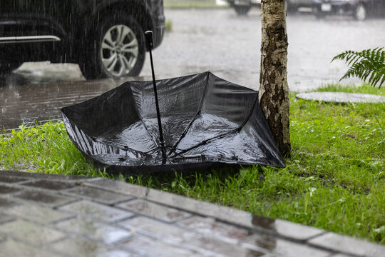 Upside down umbrella on grass during heavy summer rain near roadside