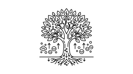Minimalist Black and White of Photosynthesis Process in a Tree with CO2 and H2O Exchange with high quality professional line art symbols for modern creative design and digital branding projects © TEGAR