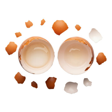 Two halves of a brown chicken eggshell with white inner membranes and scattered fragments on a white background from an overhead view concept of fragility