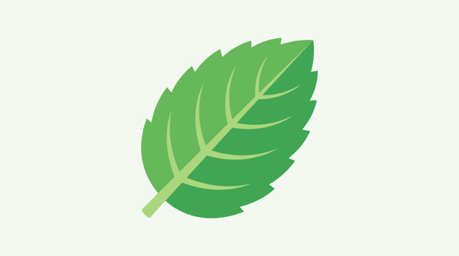 A simple flat vector illustration of a single green mint leaf isolated on white background.