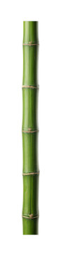 Fresh green bamboo png Vertical bamboo stalk cutout Natural bamboo stem png Organic bamboo node isolated transparent background image