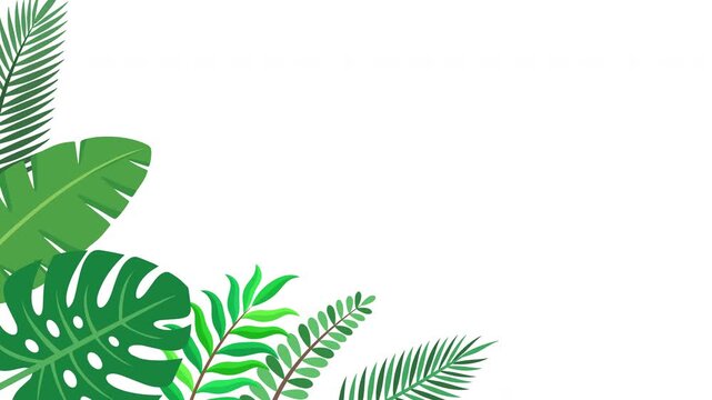 Minimal Tropical Leaf Corner Border Animation with Elegant Green Botanical Decoration Prores Alpha 4K 60 fps