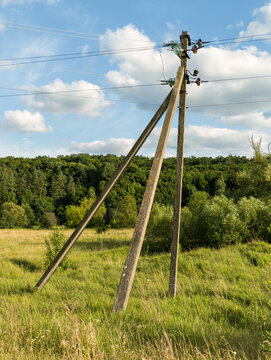 Wooden Electric Utility Pole in Countryside Field Near Green Forest