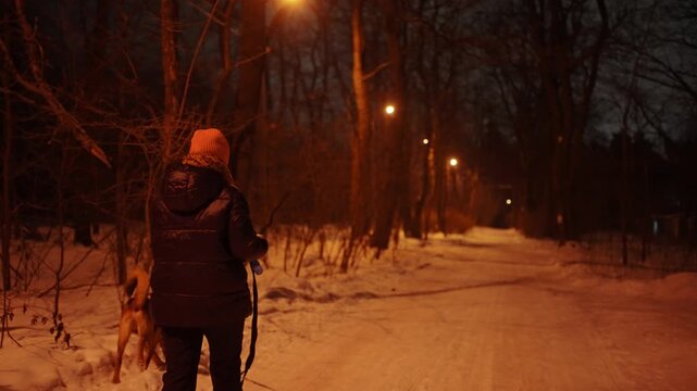 Woman walking her dog on a snowy street of a suburban area at night