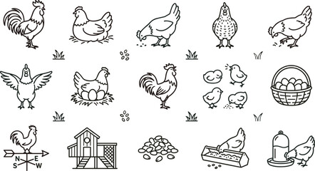 Farm Chicken and Poultry Outline Icon Set with Rooster Hen Chicks Nest Eggs Coop Feeder and Livestock Line Art Collection © MdShakil