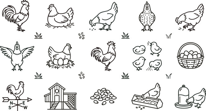 Farm Chicken and Poultry Outline Icon Set with Rooster Hen Chicks Nest Eggs Coop Feeder and Livestock Line Art Collection
