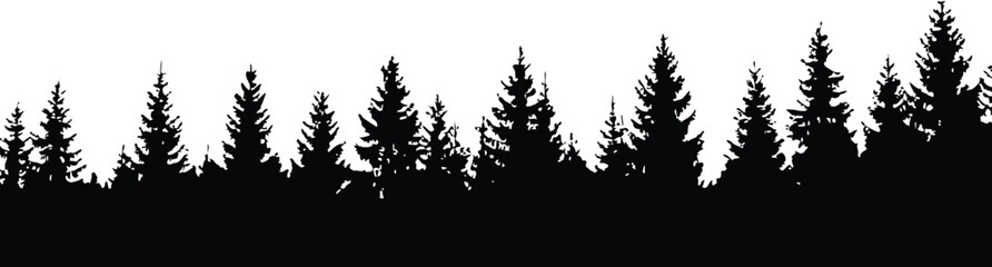 Obraz premium Black silhouette of a dense pine forest against pine forest silhouette