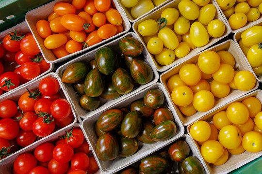 Baskets of colorful tomatoes at a farmers market in the afternoon