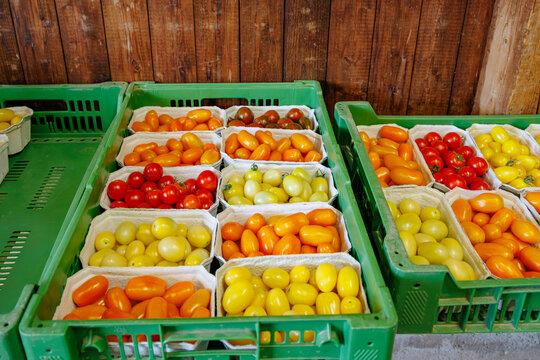 Fresh tomatoes and peppers arranged in green crates at a market in a rural area during daylight
