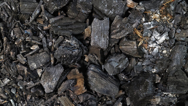 Black charcoal pieces creating a texture background