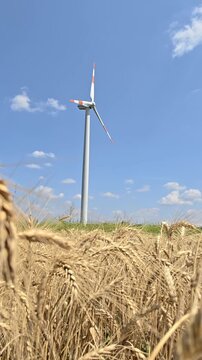 Windmill spinning in a rural landscape, generating sustainable energy amidst a field of ripe wheat