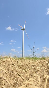 Windmill spinning in a golden wheat field under a blue sky, generating clean renewable energy