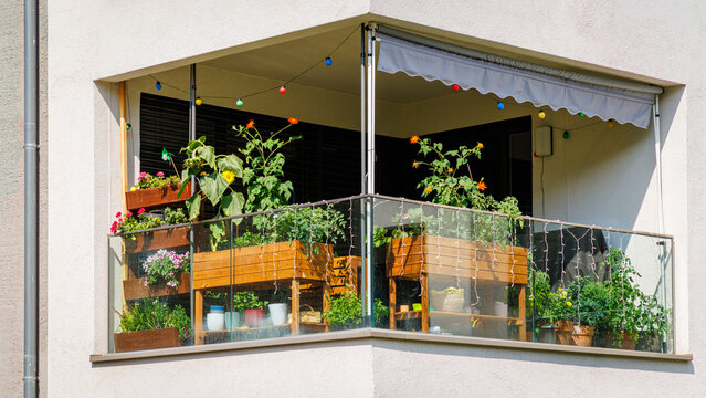 Balcony garden with plants and colorful lights during the day in an urban setting