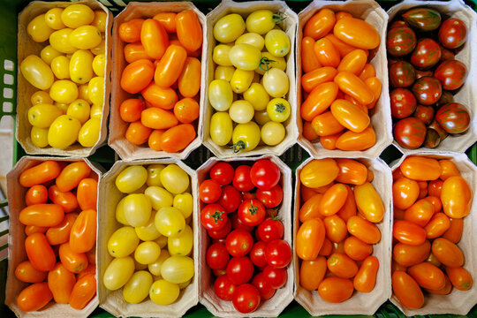 Different colors of tomatoes in baskets at a farmers market on a sunny day