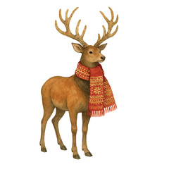 Watercolor Christmas deer wearing a cozy knitted scarf with festive details. Hand painted winter reindeer isolated on white for greeting cards, invitations and seasonal decorations © Julia
