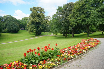 Obraz premium WUPPERTAL, GERMANY - JUNE 30, 2024: Botanical garden landscape with colorful flowerbed and mowed lawn under blue sky