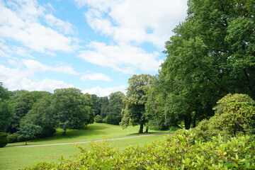 Fototapeta premium WUPPERTAL, GERMANY - JUNE 30, 2024: Scenic green city park landscape with lawn and trees under cloudy blue sky