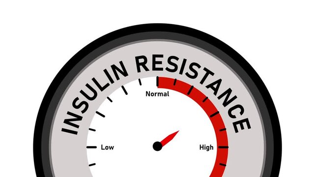 Insulin resistance gauge meter animation showing low to risk levels for diabetes and metabolic health monitoring