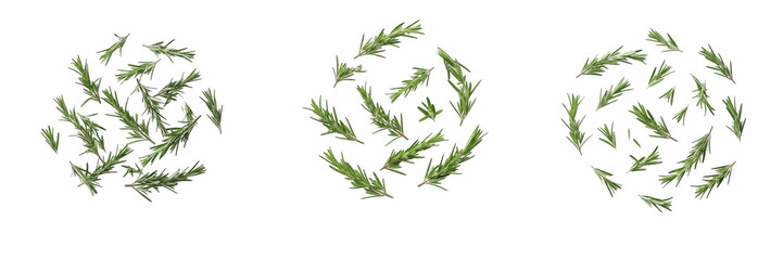 Fototapeta premium Flying Rosemary Leaves Overlay PNG Set, Falling Fresh Rosemary Sprigs & Needles Dispersion Effect, Motion Herb Seasoning Isolated Transparent Background Element for Cooking Recipe Banner & Spice Packa