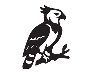 Fototapeta premium eagle onCrowned eagle perched on tree branch with wildlife silhouette predator a white background