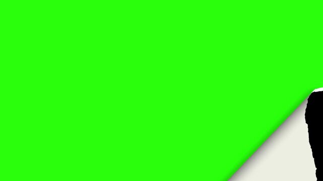 Paper Fold and Torn Edge Reveal Transition Background
