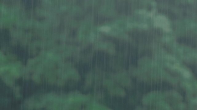 Heavy rain falling against a lush green forest background
