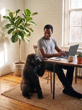 L&auml;chelnder dunkelh&auml;utiger Mann arbeitet am Laptop im Homeoffice w&auml;hrend ein junger Gorilla als Haustier neben ihm sitzt